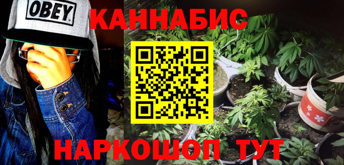 Шишки марихуана марихуана  Вход с VPN  Марихуана тримм  Конопля Amnesia  Гулькевичи 